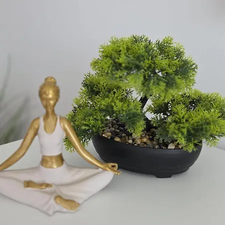 Zen Poolside * Olimp